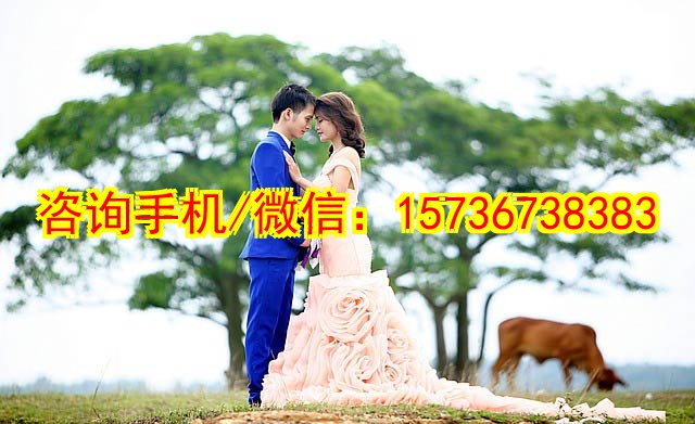 无锡代妈商业地产运营管理